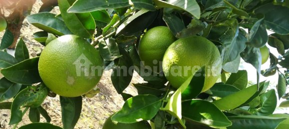 2 bedrooms House in Castellammare del Golfo, Italy No. 261821 39