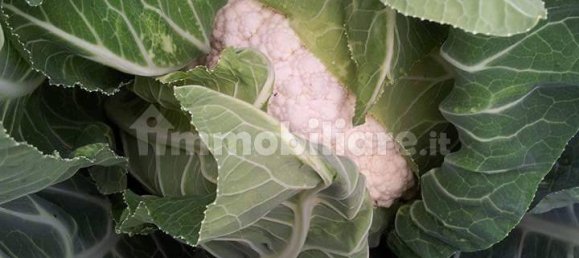 2 bedrooms House in Castellammare del Golfo, Italy No. 261821 45