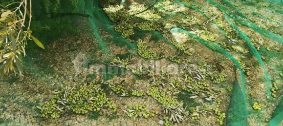 2 bedrooms House in Castellammare del Golfo, Italy No. 261821 46