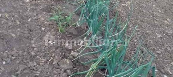 2 bedrooms House in Castellammare del Golfo, Italy No. 261821 48