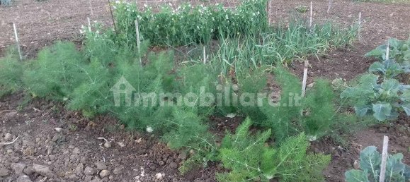 2 bedrooms House in Castellammare del Golfo, Italy No. 261821 47