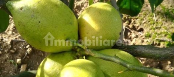 2 bedrooms House in Castellammare del Golfo, Italy No. 261821 40