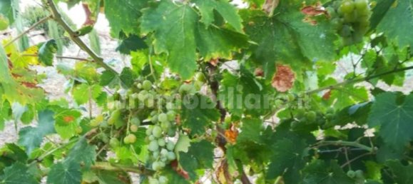 2 bedrooms House in Castellammare del Golfo, Italy No. 261821 42