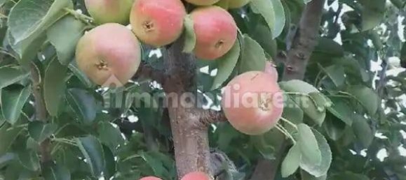 2 bedrooms House in Castellammare del Golfo, Italy No. 261821 37