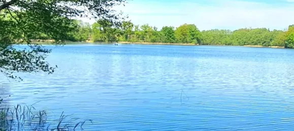 Студия в Восточный Пригниц-Руппин, Германия № 233671 10