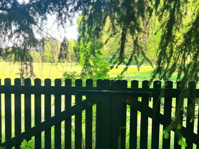 Студия в Восточный Пригниц-Руппин, Германия № 233671