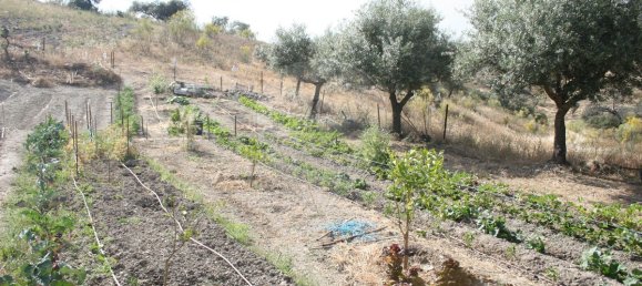 470m² Commercial property in Rosmaninhal, Portugal No. 179129 46