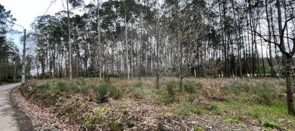 قطعة أرض في Valega, Portugal 3533متر مربع رقم 36388 6