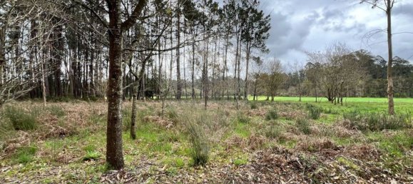 قطعة أرض في Valega, Portugal 3533متر مربع رقم 36388 4