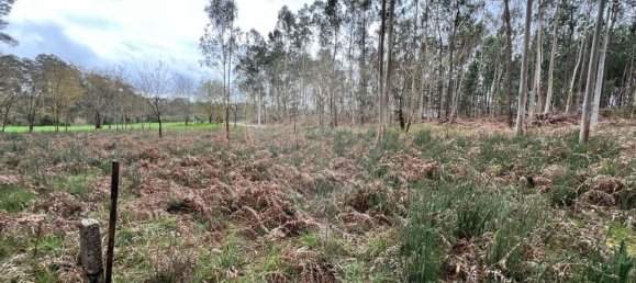 قطعة أرض في Valega, Portugal 3533متر مربع رقم 36388 3