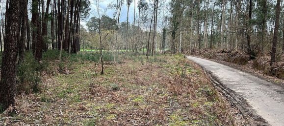 قطعة أرض في Valega, Portugal 3533متر مربع رقم 36388 8