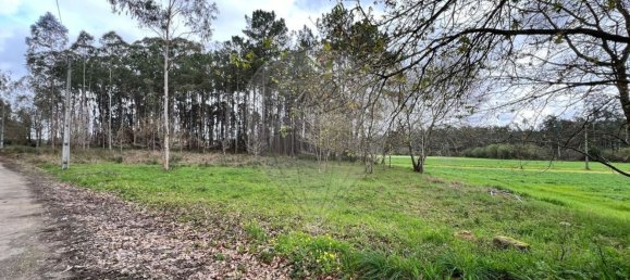 قطعة أرض في Valega, Portugal 3533متر مربع رقم 36388 12