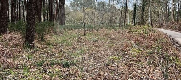 قطعة أرض في Valega, Portugal 3533متر مربع رقم 36388 9