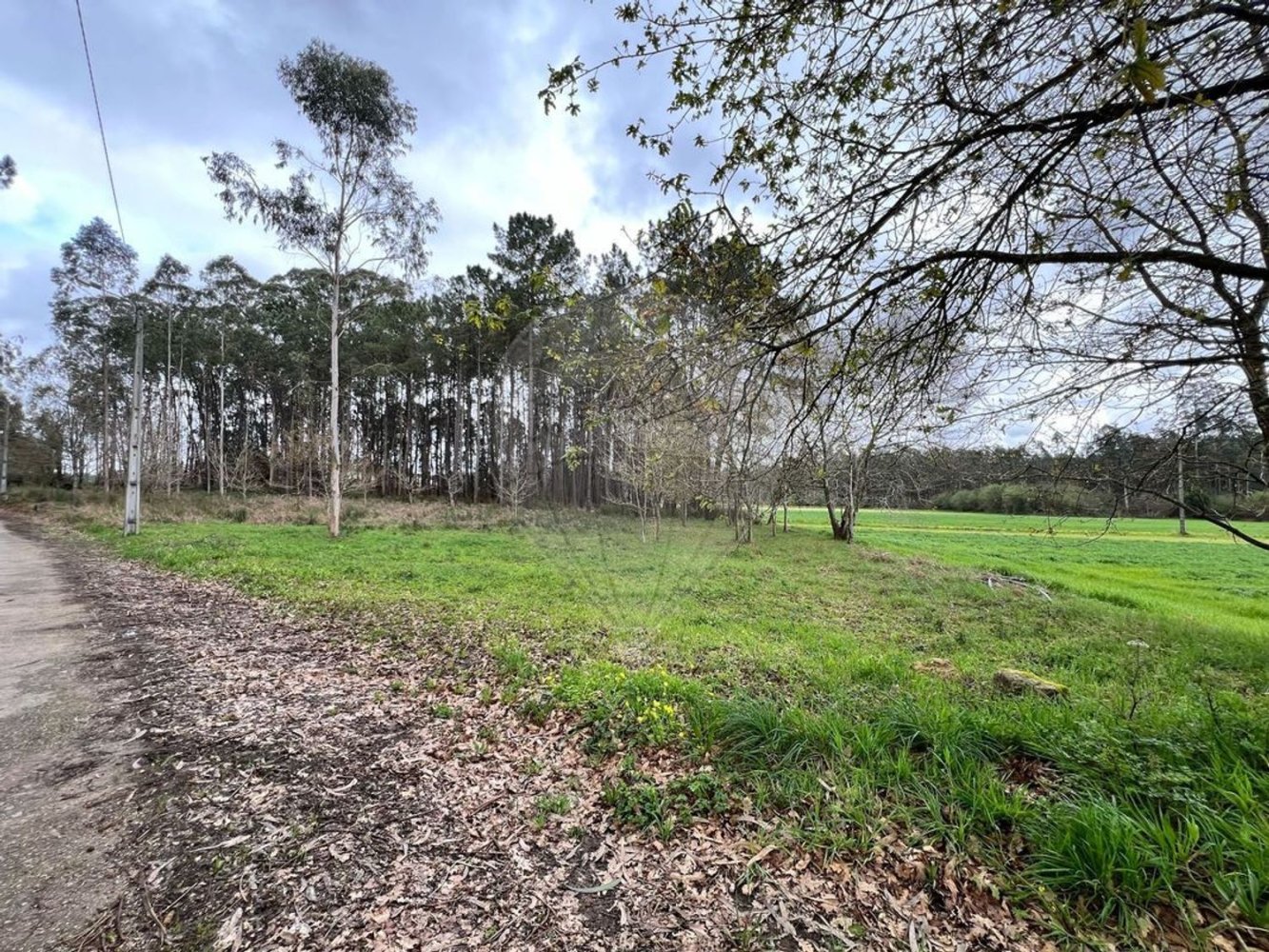  قطعة أرض في Valega, Portugal 3533متر مربع رقم 36388