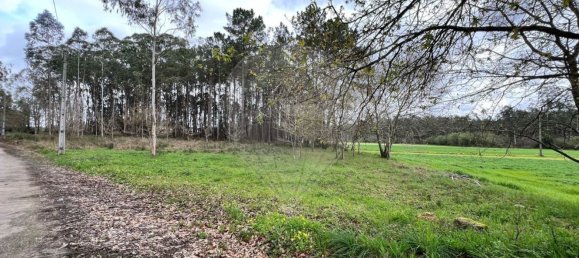 قطعة أرض في Valega, Portugal 3533متر مربع رقم 36388 2