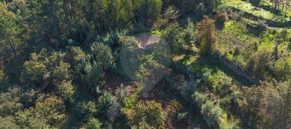 2 bedrooms House in Espadanedo, Portugal No. 176888 9