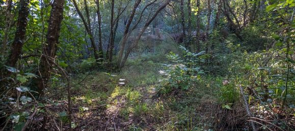 2 bedrooms House in Espadanedo, Portugal No. 176888 7