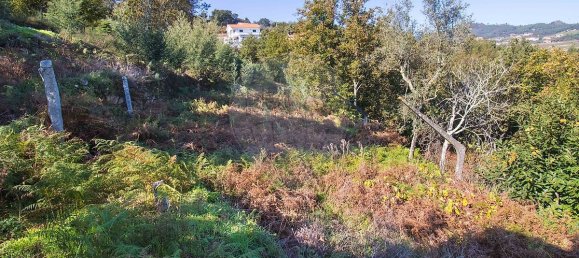 2 bedrooms House in Espadanedo, Portugal No. 176888 14