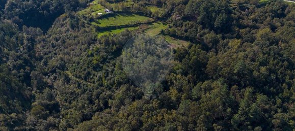 2 bedrooms House in Espadanedo, Portugal No. 176888 5