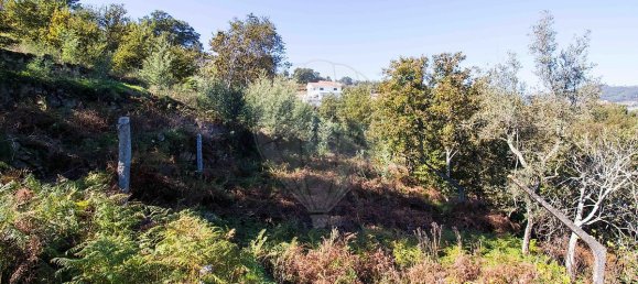 2 bedrooms House in Espadanedo, Portugal No. 176888 13