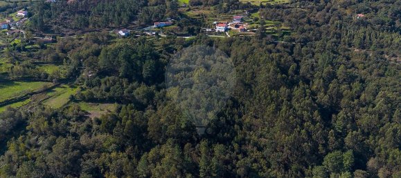 2 bedrooms House in Espadanedo, Portugal No. 176888 3