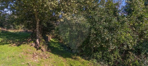 2 bedrooms House in Espadanedo, Portugal No. 176888 24