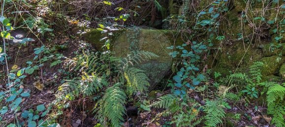 2 bedrooms House in Espadanedo, Portugal No. 176888 8