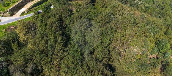 2 bedrooms House in Espadanedo, Portugal No. 176888 17