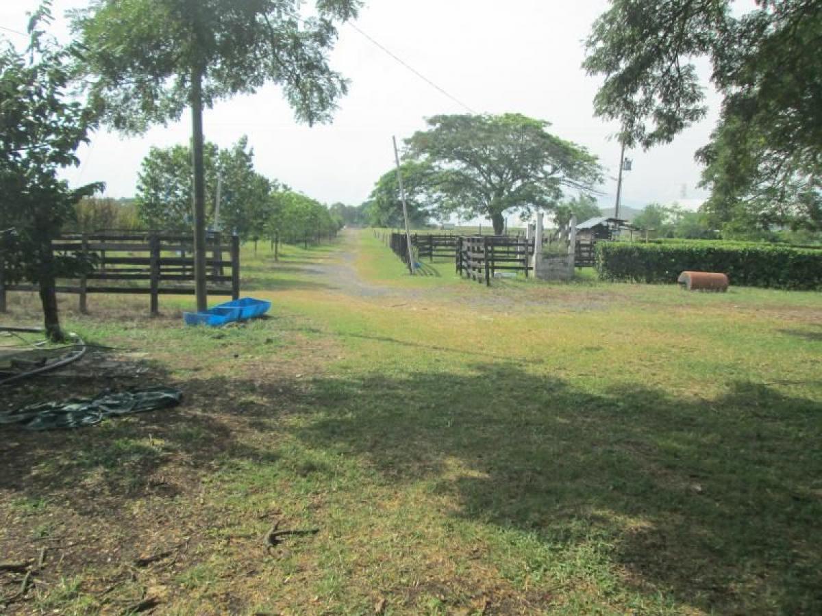 3 bedrooms House in Valle del Cauca, Colombia No. 3544