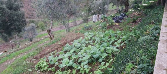 Casa T4 em Sertã, Portugal N.º 178950 43