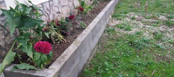 Casa T4 em Sertã, Portugal N.º 178950 42