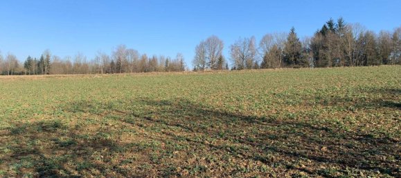 5 rooms House in St. Florian am Inn, Austria No. 68394 4