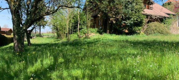 5 rooms House in St. Florian am Inn, Austria No. 68394 3