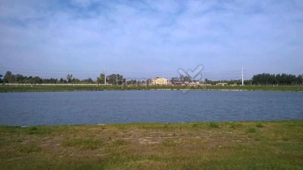 Grundstück in Tigre, Argentina, Nr. 48309