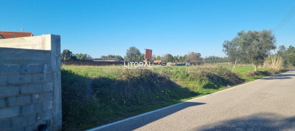 Land in Aveiro, Portugal No. 67223 4