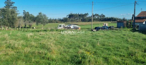 Land in Aveiro, Portugal No. 67223 8