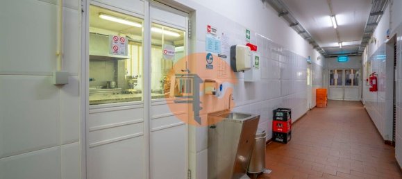 Gewerbliche Immobilie in Vila Real de Santo Antonio, Portugal 800m², Nr. 253482 17