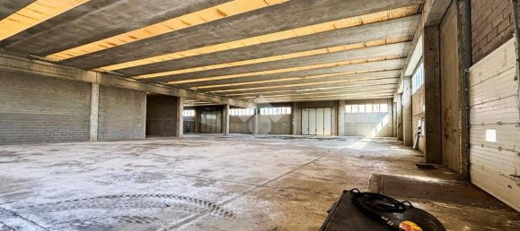 6000m² Warehouse in Offlaga, Italy No. 52693 29