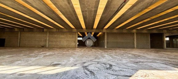 6000m² Warehouse in Offlaga, Italy No. 52693 17