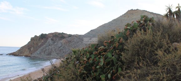 5 bedrooms Villa in Budens, Portugal No. 113428 19