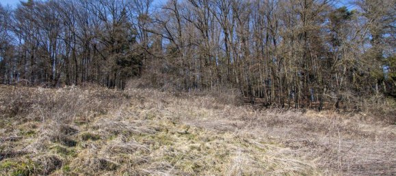  Land in Leibnitz, Austria No. 168223 8