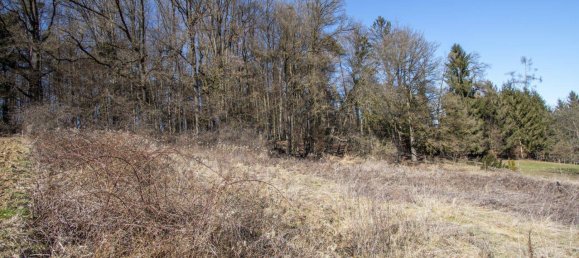  Land in Leibnitz, Austria No. 168223 4