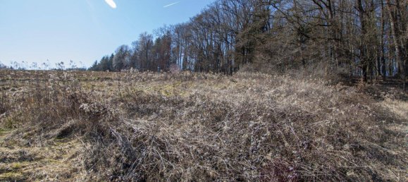  Land in Leibnitz, Austria No. 168223 7