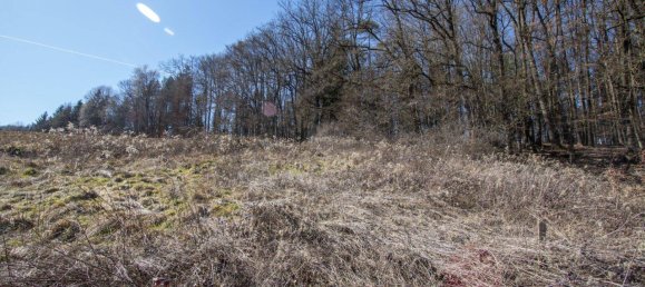  Land in Leibnitz, Austria No. 168223 9