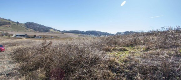  Land in Leibnitz, Austria No. 168223 6