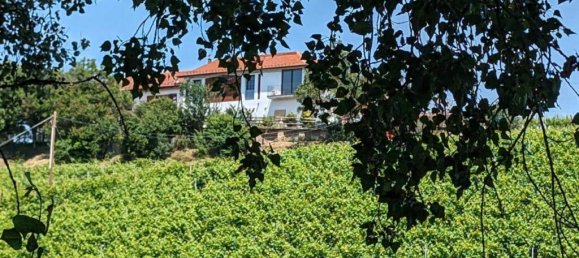 6 bedrooms Villa in Nizza Monferrato, Italy No. 56933 9