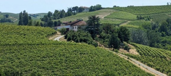 6 bedrooms Villa in Nizza Monferrato, Italy No. 56933 4