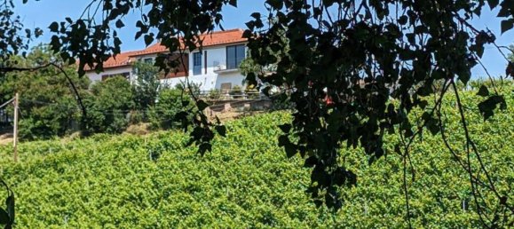 6 bedrooms Villa in Nizza Monferrato, Italy No. 56933 6