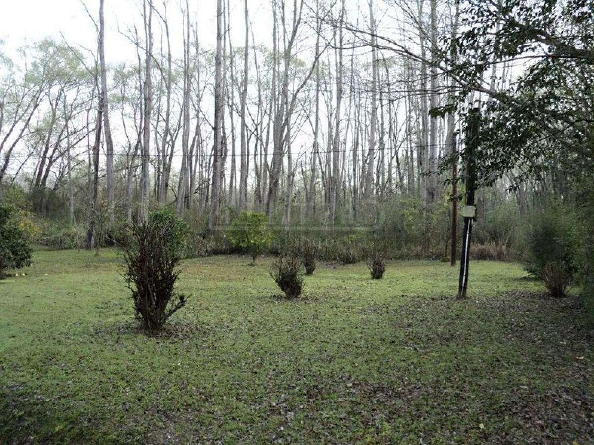  Land in Tigre, Argentina No. 31711