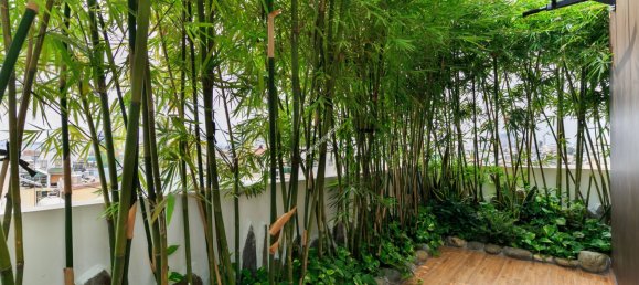 32m² Apartment in Tan Binh, Vietnam No. 10547 3